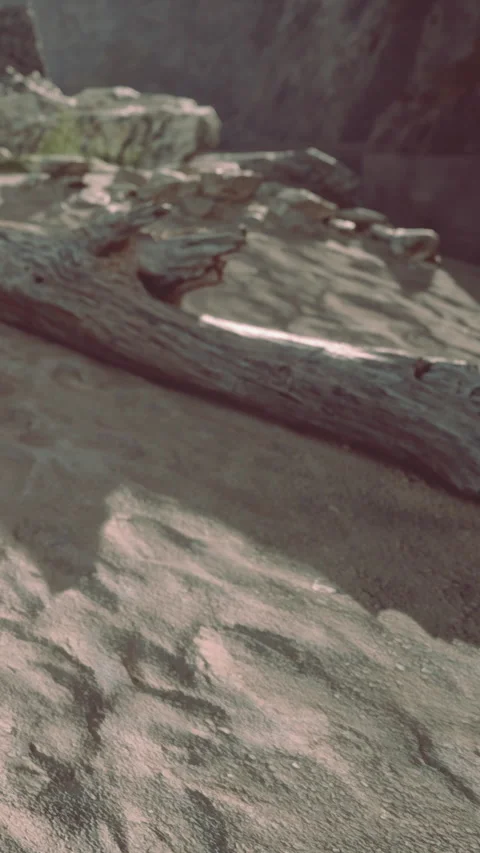 Wood on the sandy ground with shadow patterns in the sunlight during the day Stock Footage 339510847