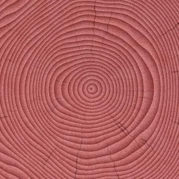 Wood saw cut texture. Tree stump fibers background. Wooden stub circles backd Stock Illustration