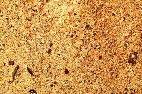 Wood sawdust texture background pattern. Close-up. Stock Photos