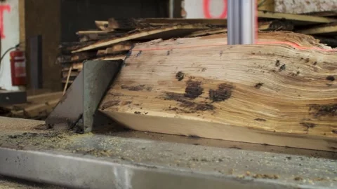 Wood Sawing Process. Processing Machine. Manufacturing Planks With Wood Sawin Stock Footage 279841759