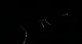 Wood screws drop HD-videomateriaal