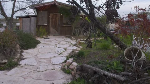 Wood shack Video stock 228804814