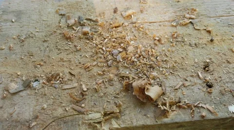 Wood Shavings Stock Footage 58688917