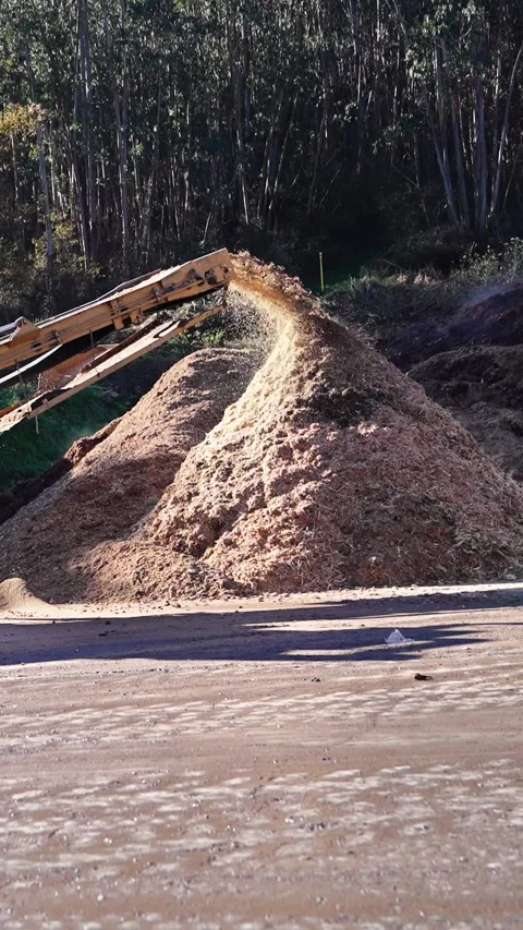 Wood shredder processing pallets in slow motion Stock Footage 313924339