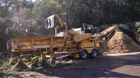 Wood shredder processing waste in slow motion Stock Footage 313917934