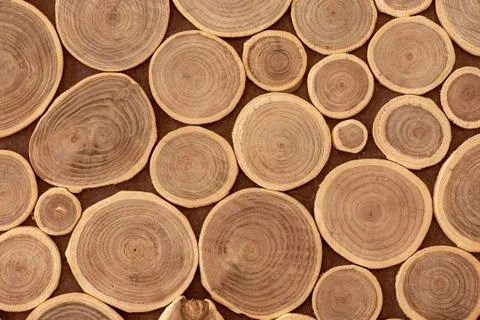 Wood slice background. Stock Photos