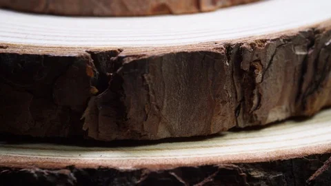 Wood slice Close Up Video stock 97294132