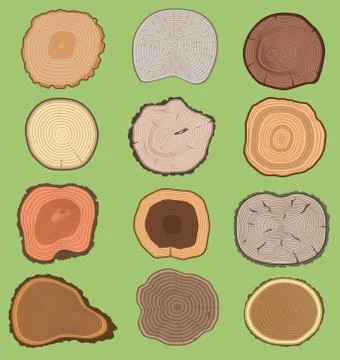 Wood slice texture wooden vector tree life age circle rings cut tree material 스톡 일러스트