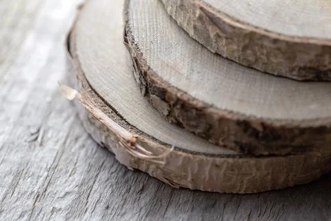 Wood slices Stock Photos