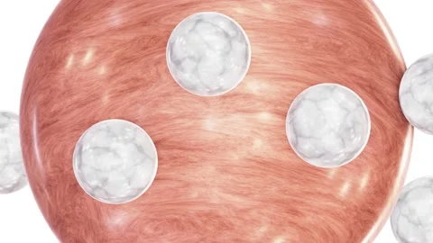 Wood sphere with rolling small white marble spheres looping 3D animation Stock Footage 219830367