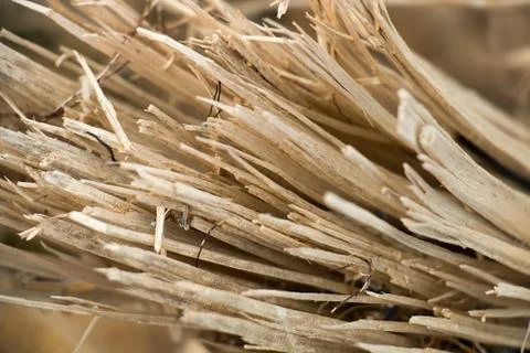 Wood splinters background Stock Photos