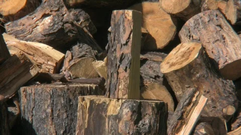 Wood split 1 Stock-Footage 506535