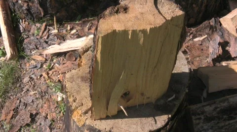 Wood split 4 Stock Footage 506549