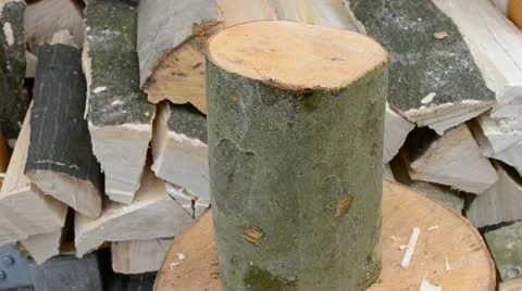 Wood split with humor Stock Footage 12272810