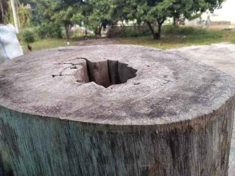 Wood split Stock Photos