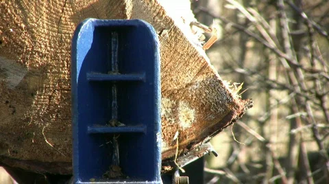 Wood splitter Stock Footage 350672