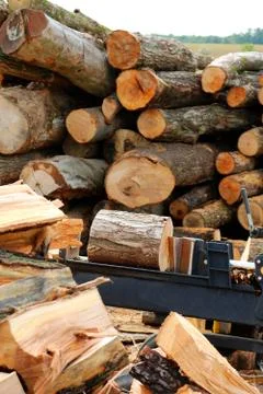 Wood splitter ready to split a block of wood Stock Photos