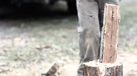 Wood Splitting 1 clean hit and axe left in stump Video stock 59703299