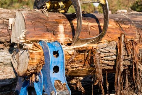 Wood splitting Stock-Fotos