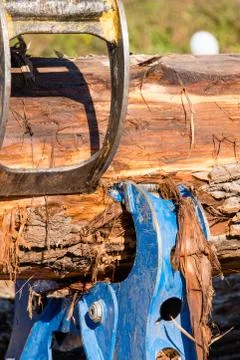 Wood splitting Stock-Fotos