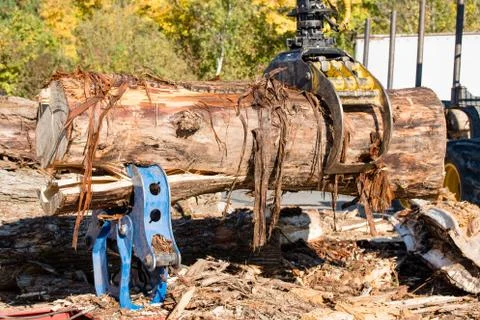 Wood splitting Stock-Fotos