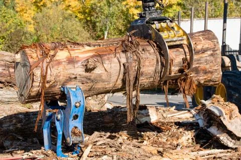 Wood splitting Stock Photos