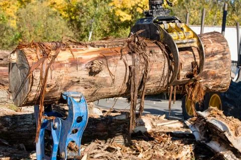 Wood splitting Foto stock