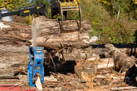 Wood splitting Stock Photos