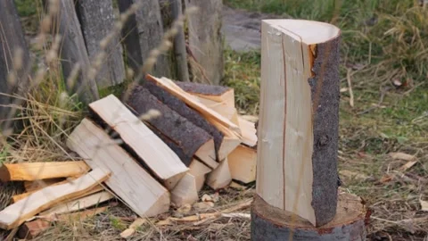 Wood splitting process in slow motion Stock Footage 167322705