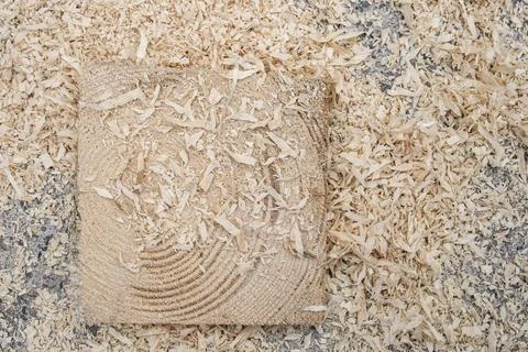 Wood square shape slice on cement covered in sawdust, authentic constructio.. Stock Photos