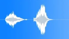 Wood Squeal: Door Hinges, Screak Shrill & Reverberant - V02Sound Effect