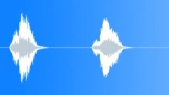 Wood Squeal: Door Hinges, Screak Shrill & Reverberant - V03Sound Effect
