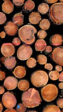 Wood stack background Stock Photos