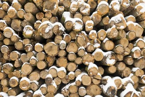 Wood stack Stock Photos