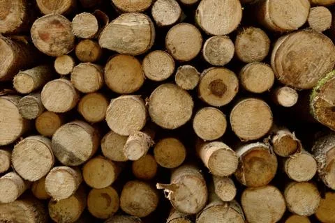 Wood stack Stock Photos