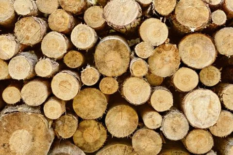 Wood stack Stock Photos