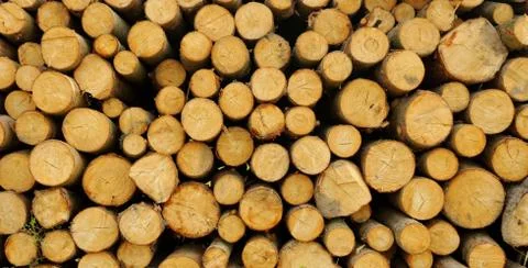 Wood stack Stock Photos