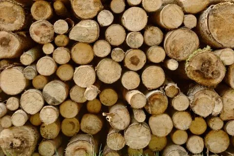 Wood stack Stock Photos