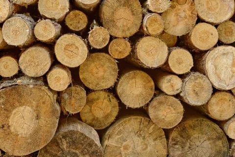 Wood stack Stock Photos