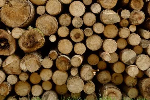 Wood stack Stock Photos