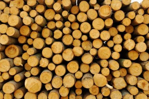 Wood stack Stock Photos