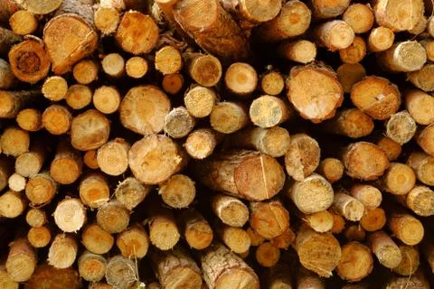 Wood stack Stock Photos