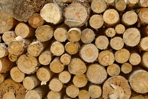 Wood stack Stock Photos