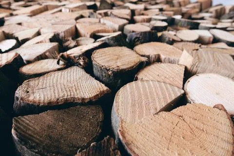 Wood stack 스톡 사진