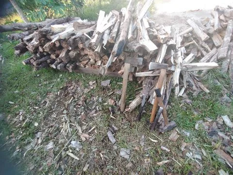 Wood stack Stock Photos