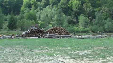 Wood, Stack of Wood for a Frosty Winter Stock Footage