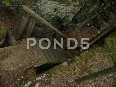 Wood Staircase in Dark Forest Stock Photos