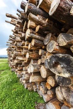 WOOD STORAGE Stock Photos