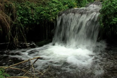 Wood stream Vídeo Stock 911810