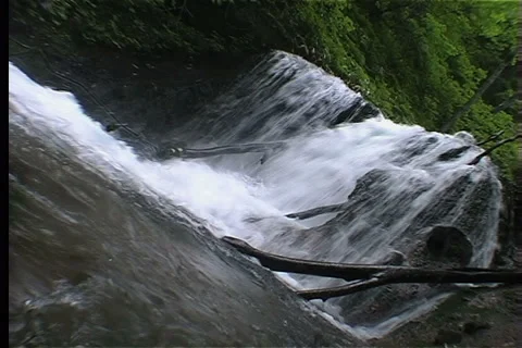 Wood stream Stock Footage 911865